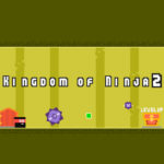 Kingdom of Ninja 2