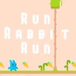 Run Rabbit Run